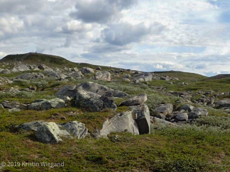 Turterrenget på Saltfjellet