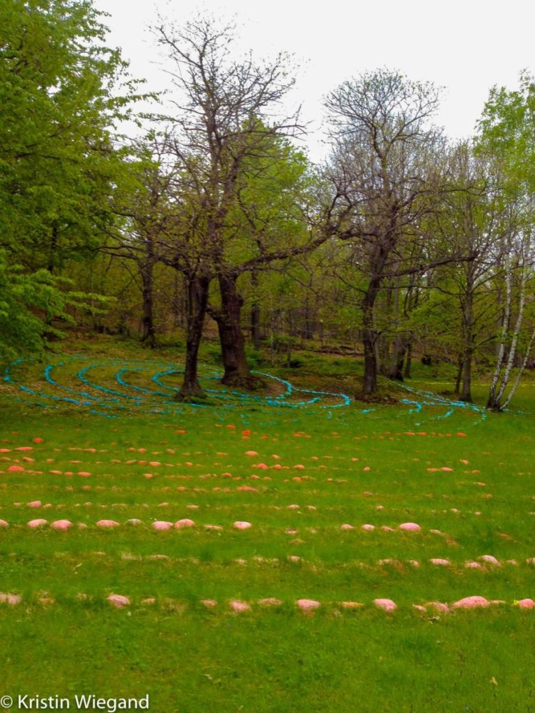 The secret woods