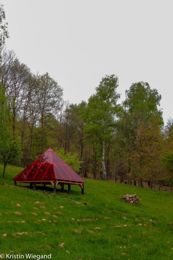 Den hellige skogen