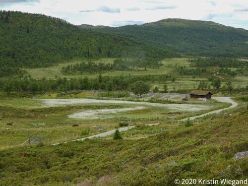 Jotunheimstien fra Liomseter